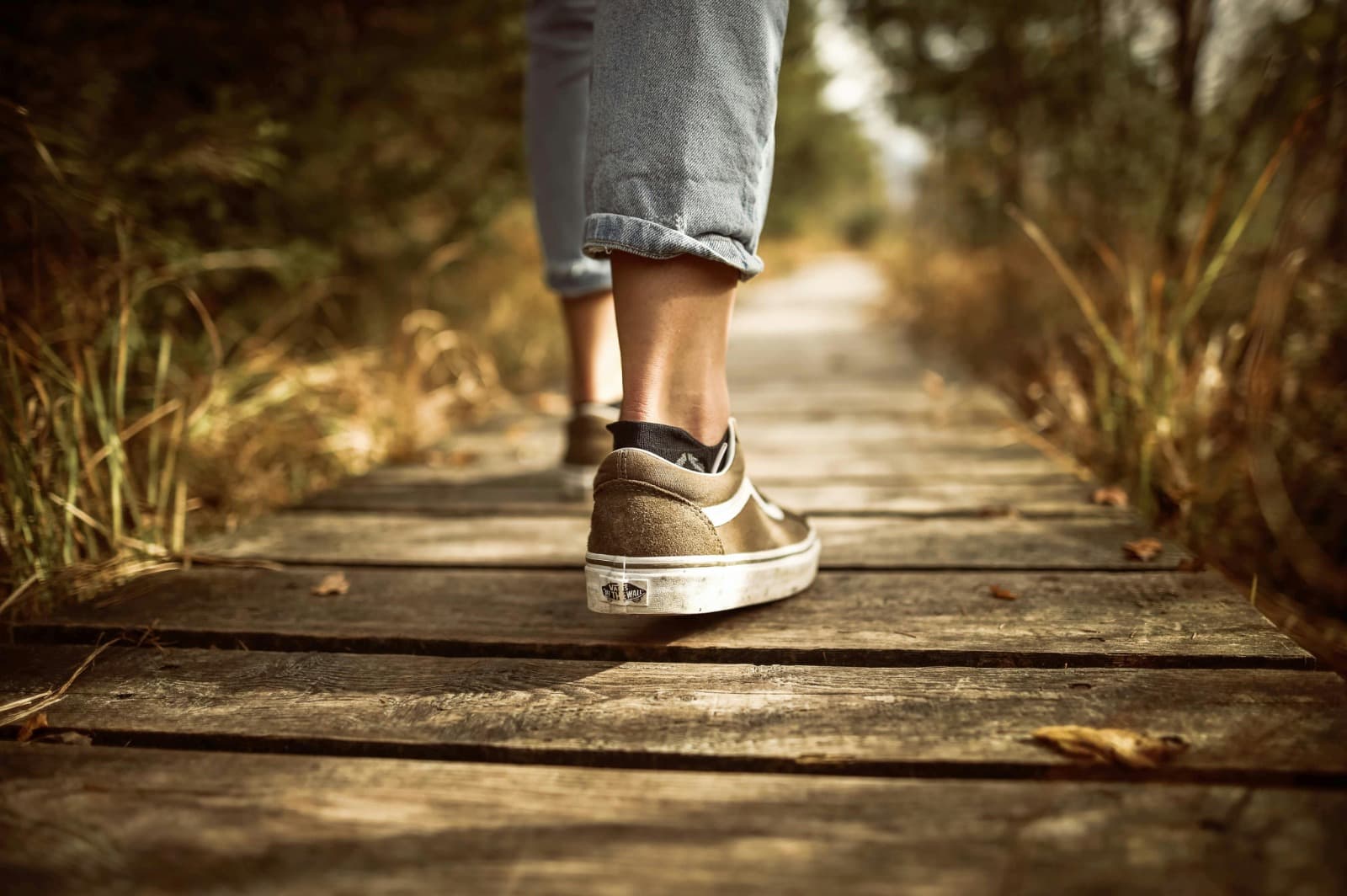 Cool Walking Trails Near Me Surrounded by Nature and Wildlife