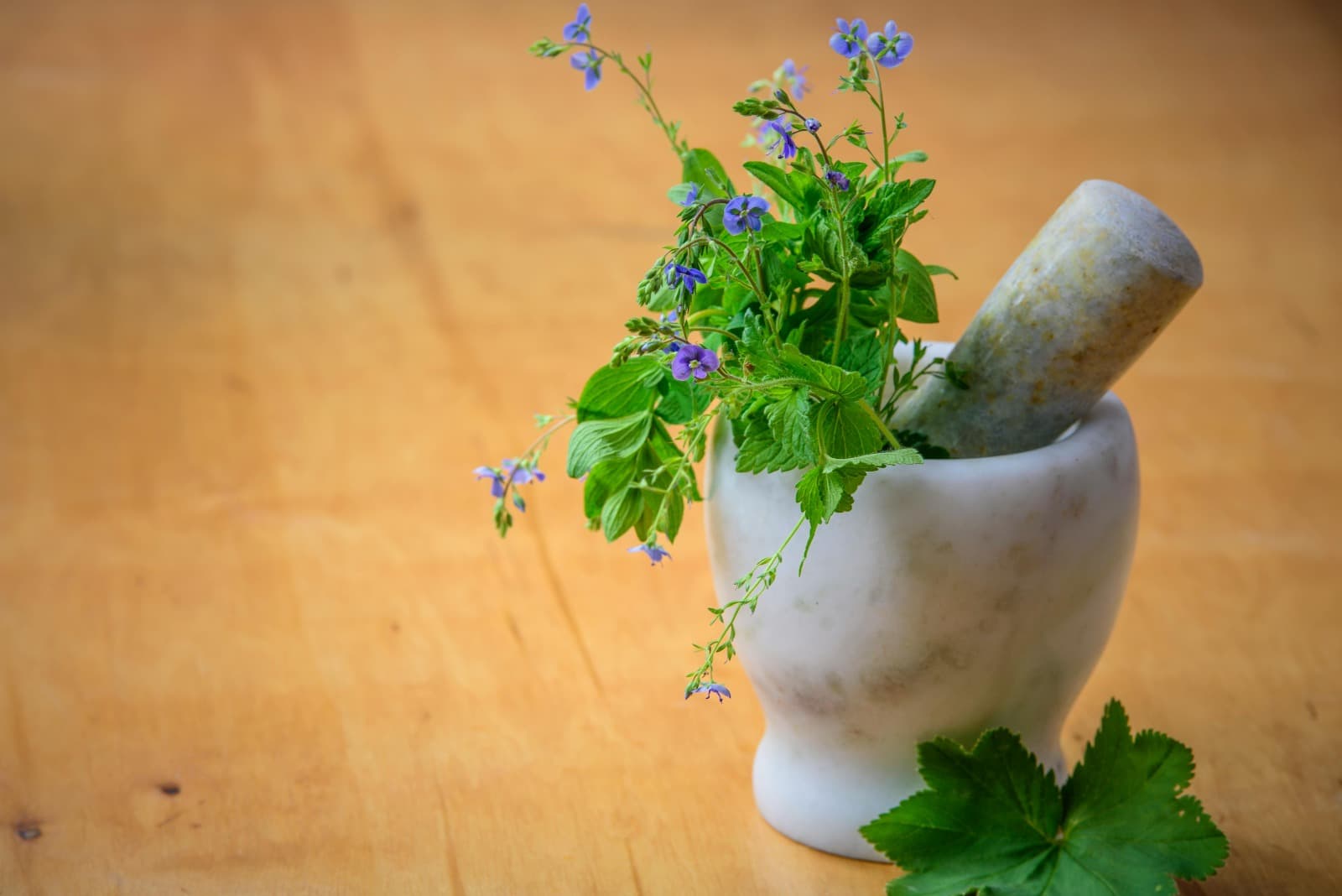 Comprehensive Ayurveda Online Courses with Expert Guidance