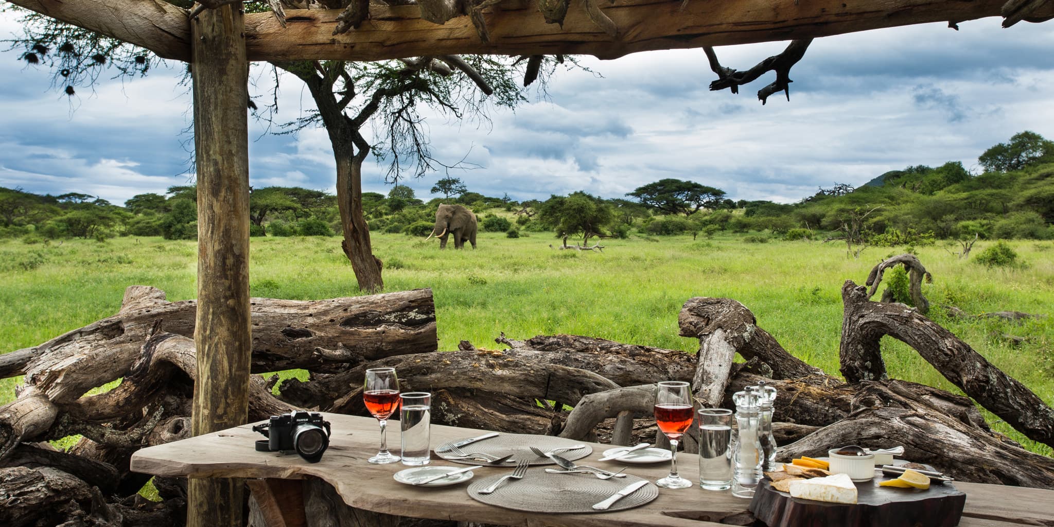Discover South African Safari Adventures in Iconic Game Reserves