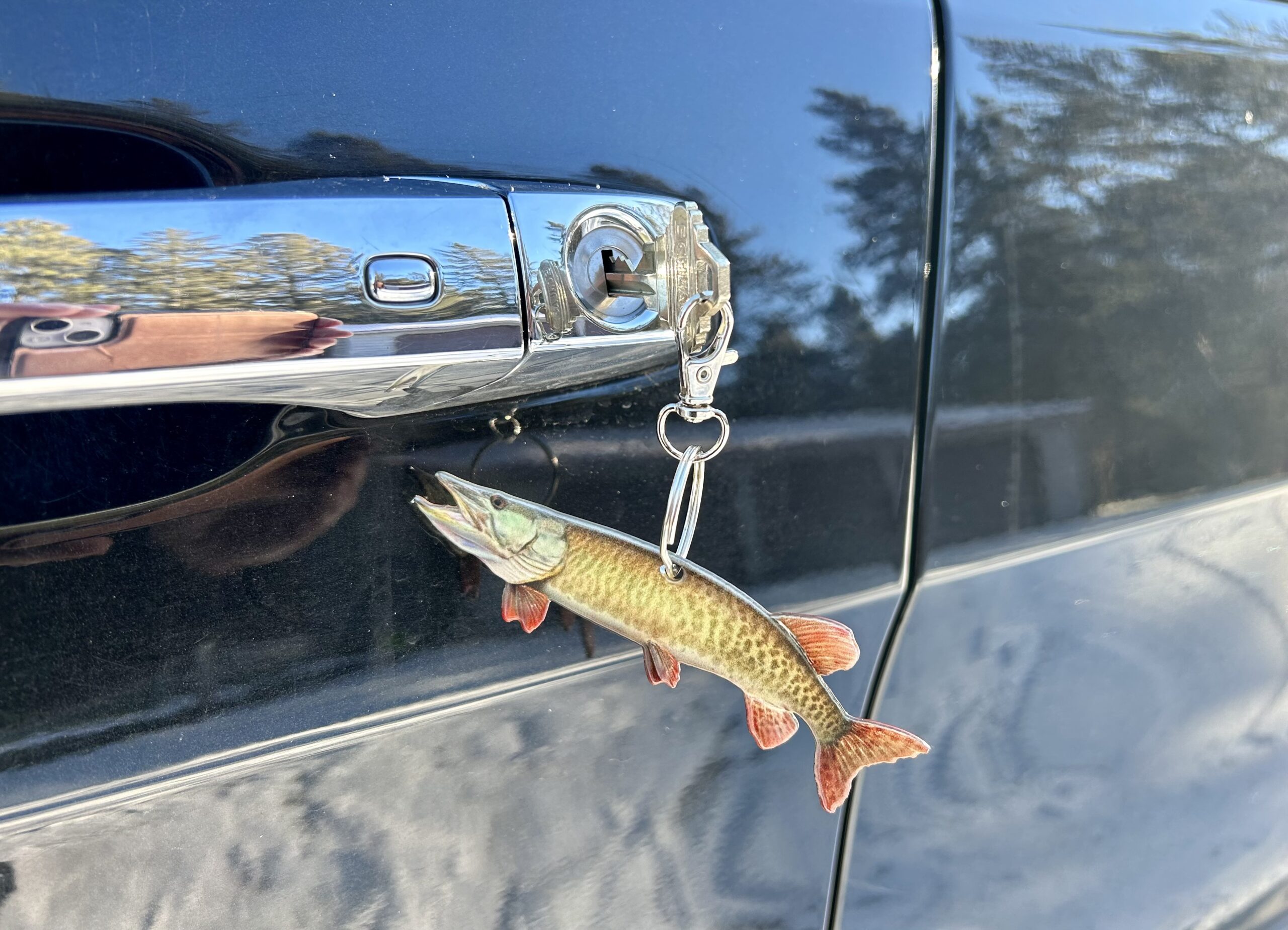 Fly Fishing For Beginners: Your Ultimate Starter Guide
