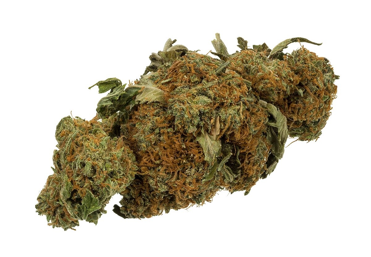 Csc hamburg – Hochwertiges Bio-Cannabis für Mitglieder