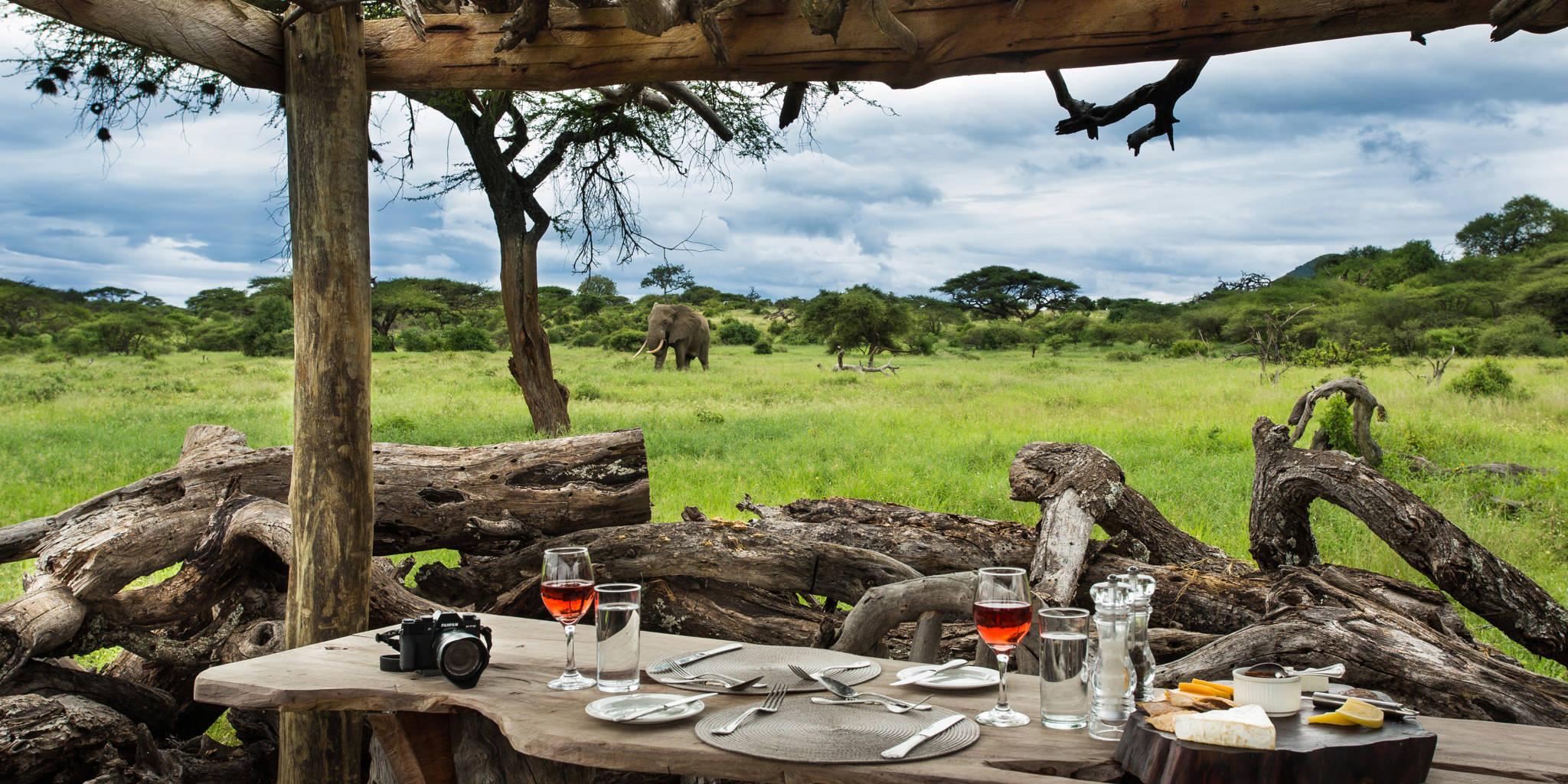 Discover South African Safari Adventures in Iconic Game Reserves