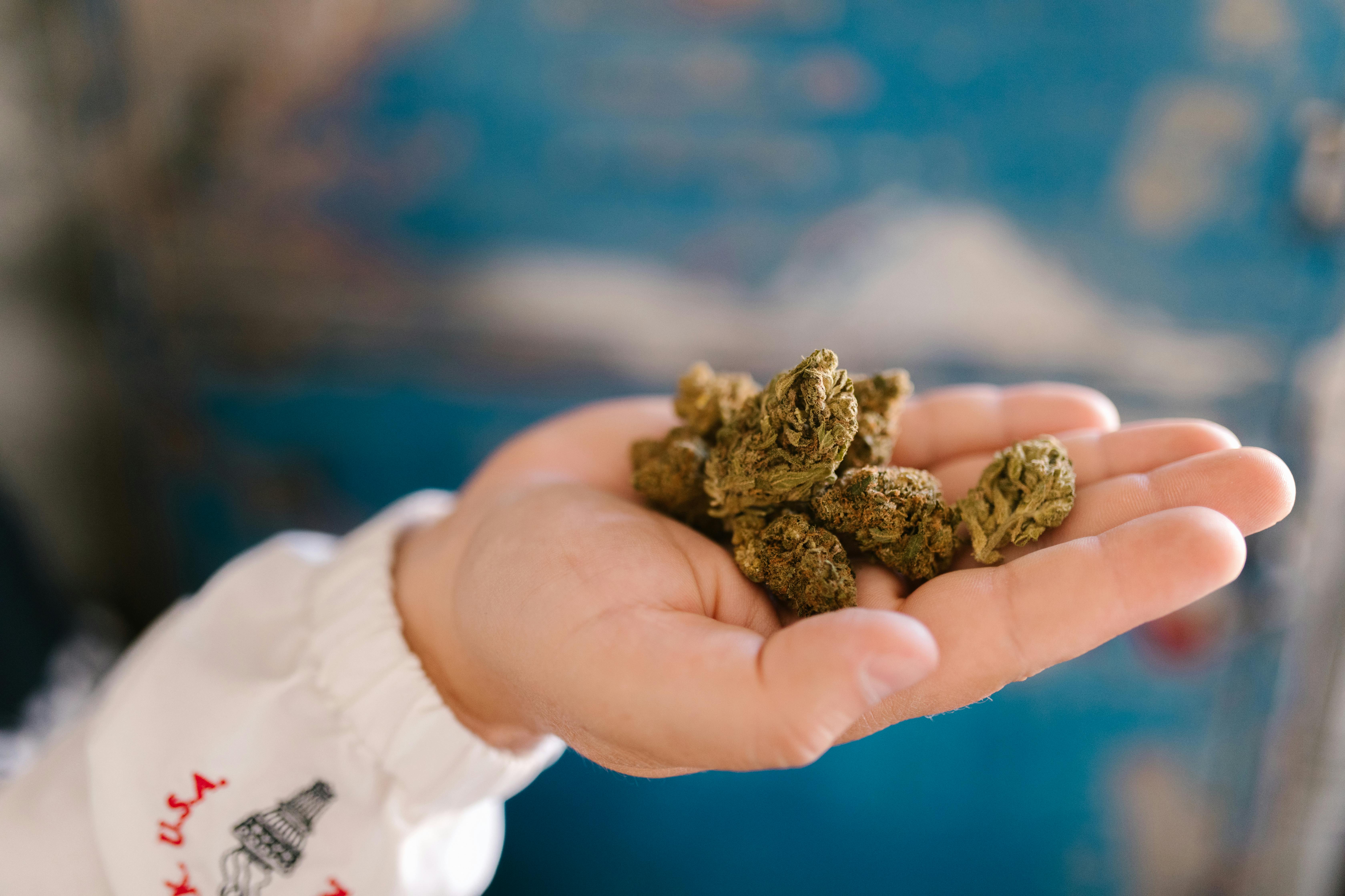 UNDERSTANDING REGULATIONS FOR ANYONE RESEARCHING HOW TO BUY THC ONLINE