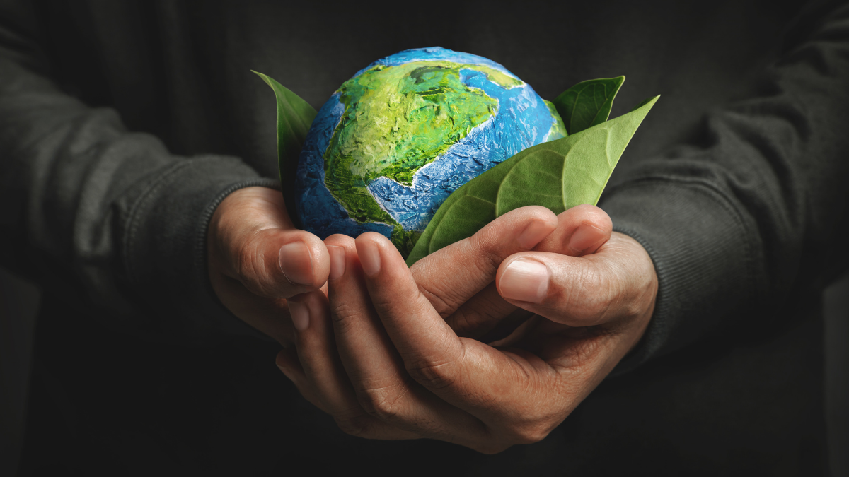 Why Sustainability Is at the Heart of Nowhere Organics