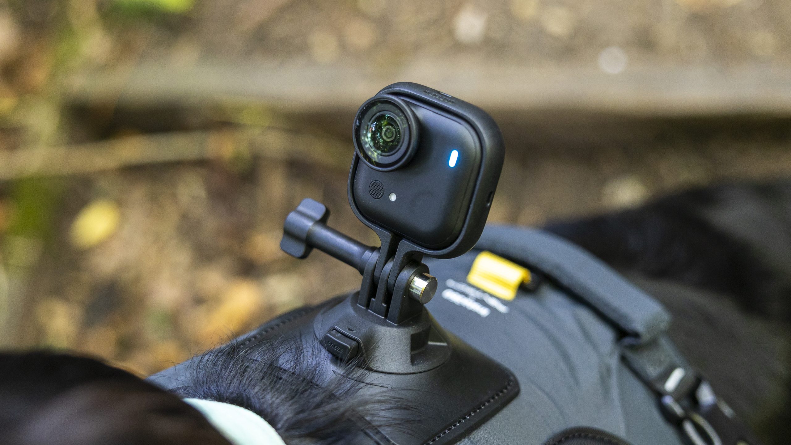Insta360 Website Review: Your Hub for Innovation and Creativity