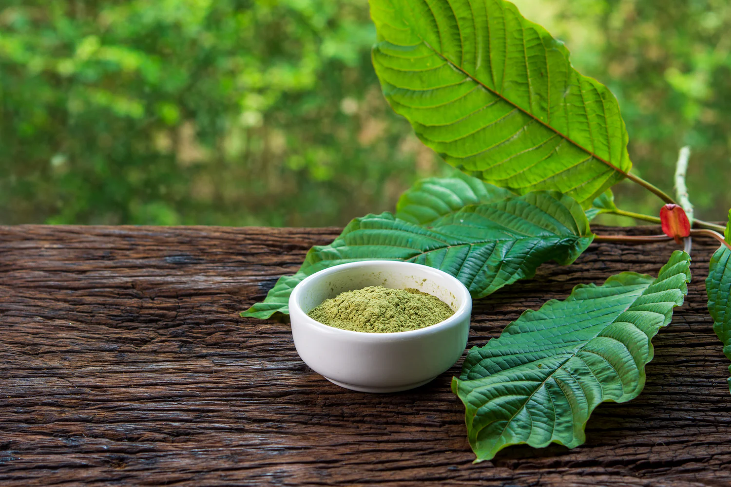 Fresh Kratom Leaf Tea Thailand for Natural Relaxation