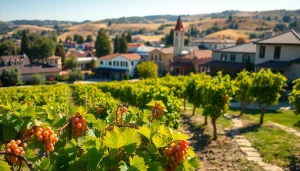Stunning landscape of Clarksburg, CA, showcasing vineyards and historic architecture under bright sunlight.